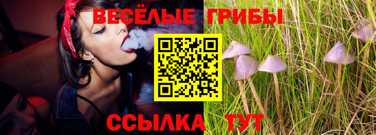 цена   Псилоцибиновые грибы прущие грибы  Вход с VPN  Дзержинск 